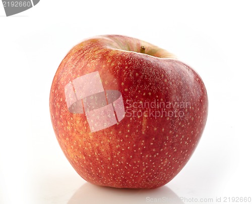 Image of fresh red apple