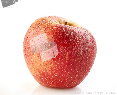 Image of red wet apple