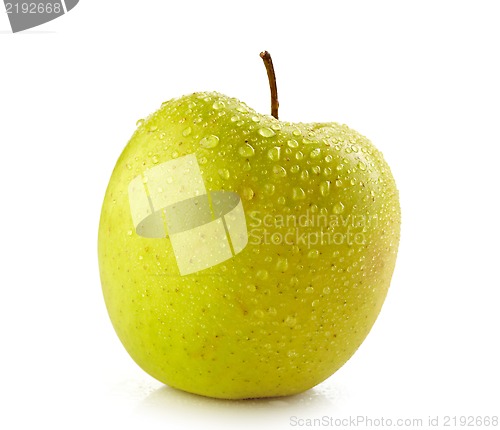 Image of fresh wet apple