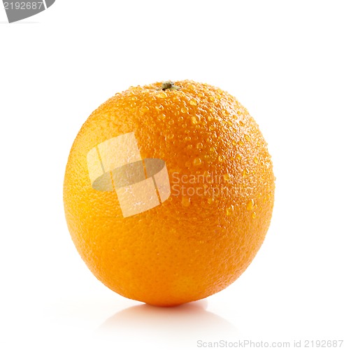 Image of fresh wet orange