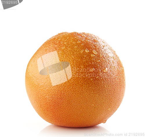 Image of fresh wet grapefruit