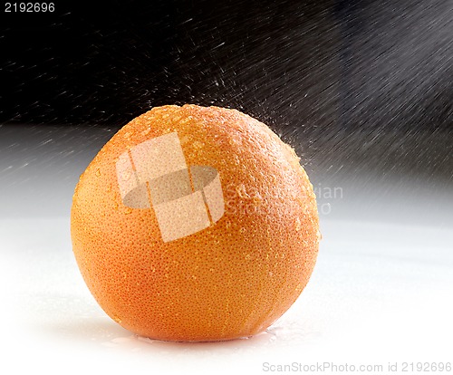 Image of fresh wet grapefruit