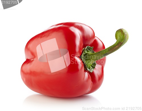 Image of fresh red paprika