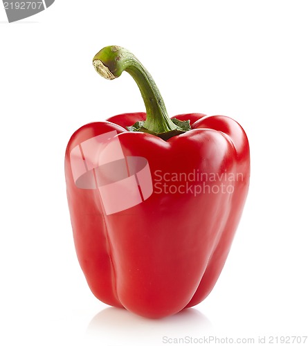 Image of fresh red paprika