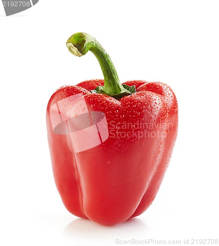 Image of fresh red wet paprika