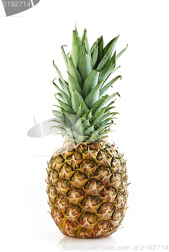 Image of fresh pineapple
