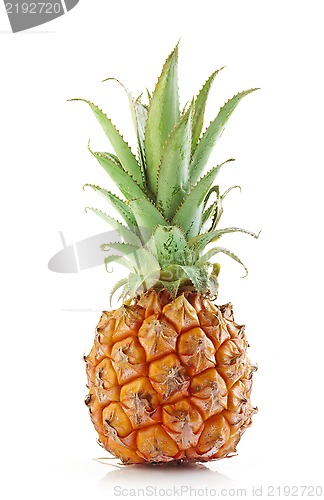 Image of fresh pineapple