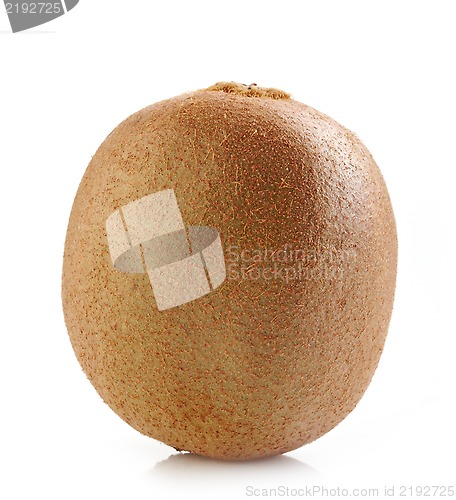 Image of fresh kiwi fruit