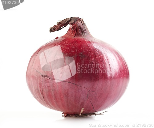 Image of red onion