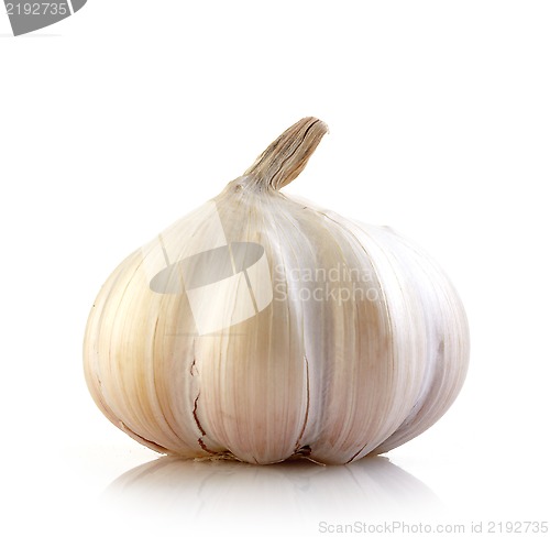 Image of garlic