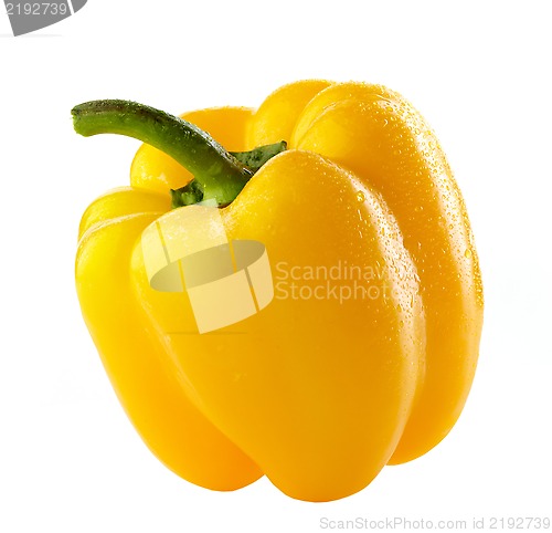 Image of wet yellow paprika