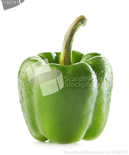 Image of wet green paprika