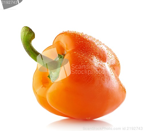 Image of fresh wet orange paprika