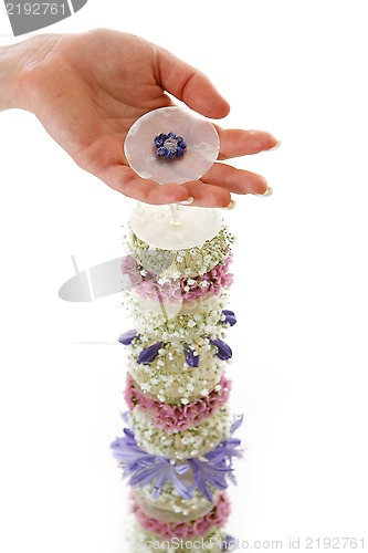 Image of composition of flowers