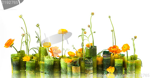 Image of composition of flowers