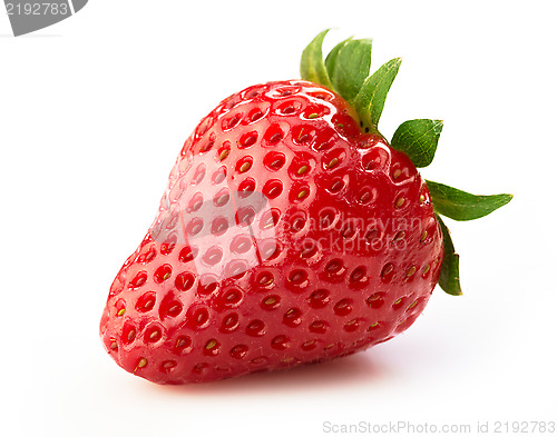 Image of fresh strawberry