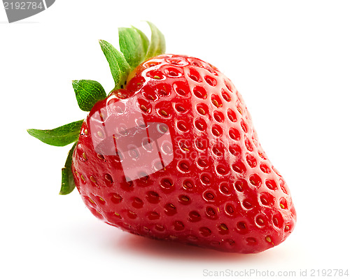 Image of fresh strawberry