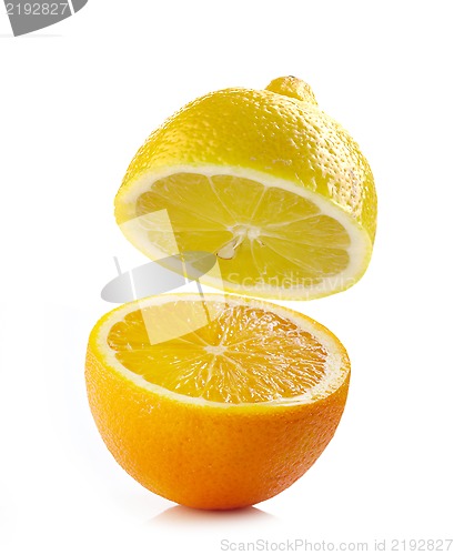 Image of fresh half lemon