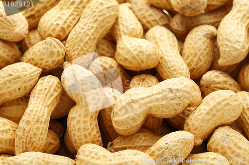 Image of Dried peanut