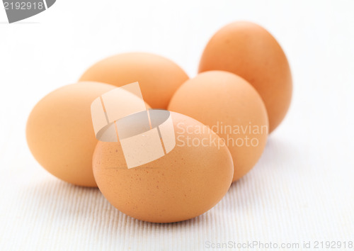 Image of fresh egg