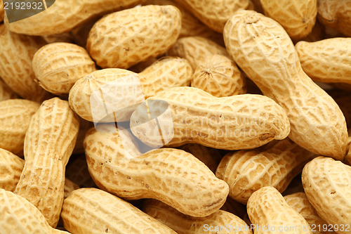 Image of peanut