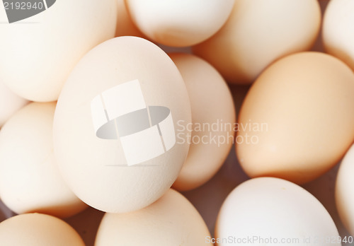 Image of egg background