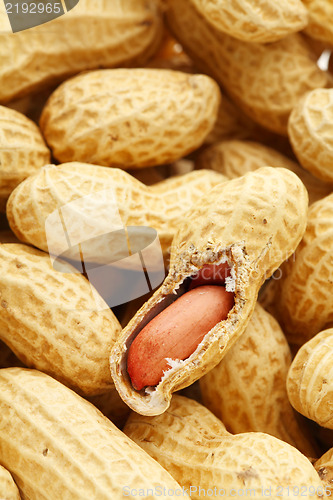 Image of peanut