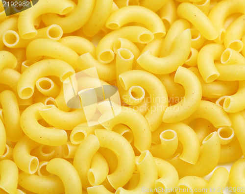 Image of macaroni