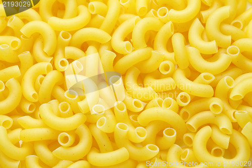 Image of macaroni