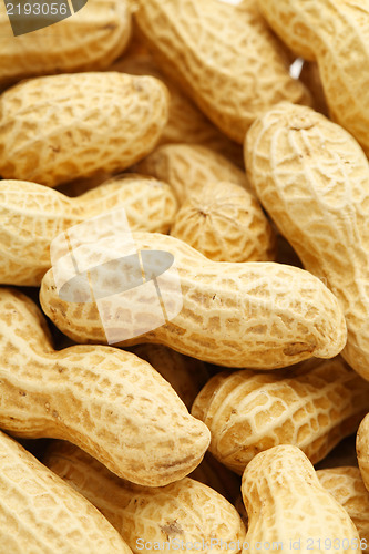 Image of Dried peanut