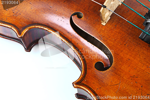 Image of violin