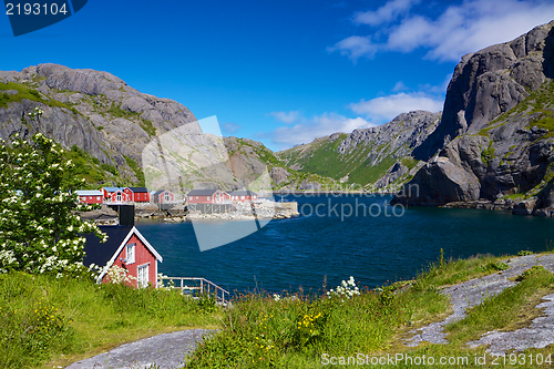 Image of Fishing village Nusfjord