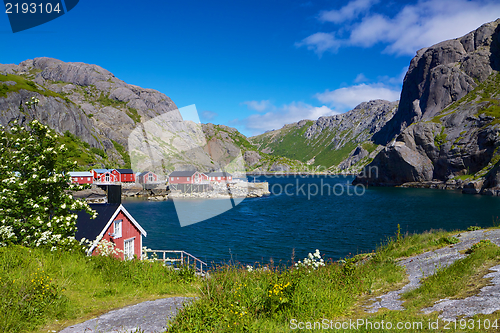 Image of Fishing village Nusfjord