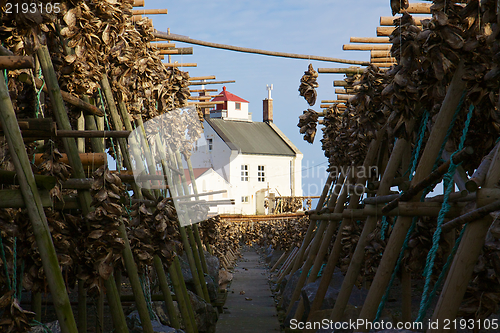 Image of Drying stock fish in Norway