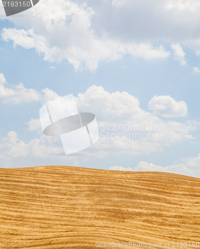 Image of Country in Tuscany