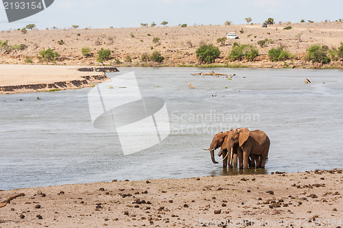 Image of Safari in Kenya