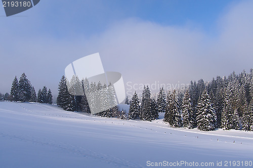 Image of Jura Mountain in Winter at dawn, Metabief area