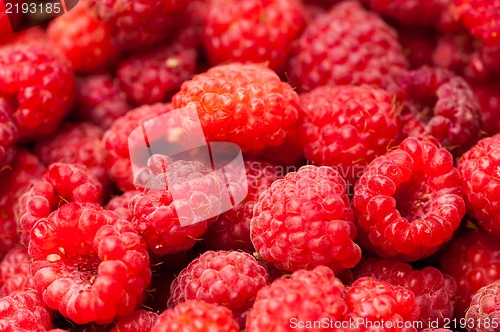 Image of sweet raspberry fruit