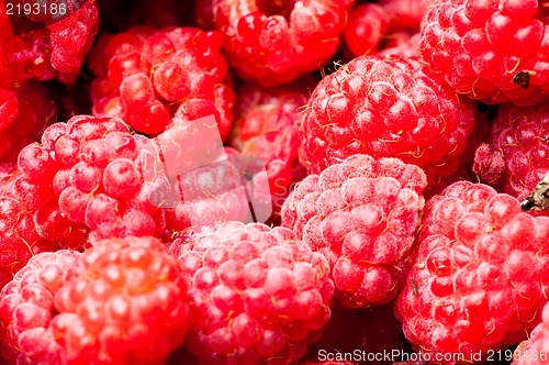 Image of sweet raspberry fruit