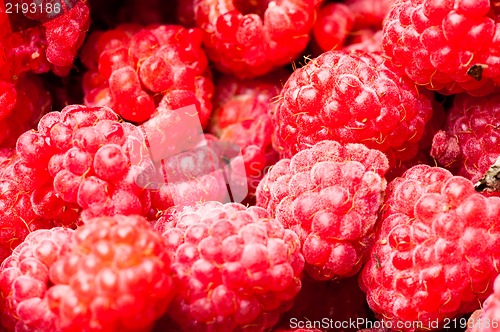Image of sweet raspberry fruit