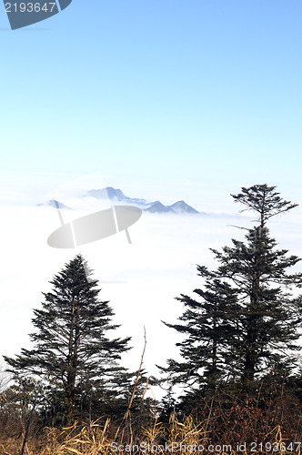 Image of Landscape