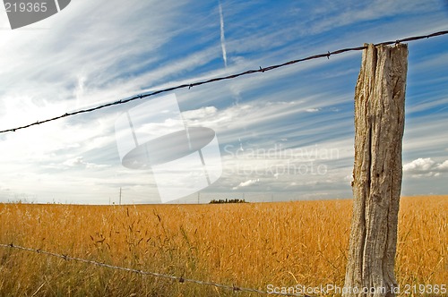 Image of Clouds 2