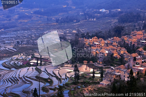 Image of Terraced Fields