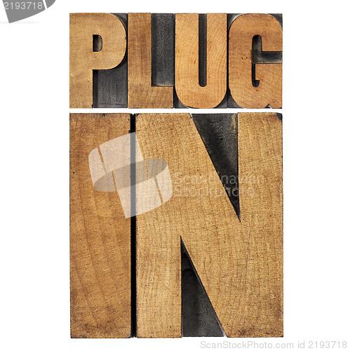 Image of plugin (plug-in) in wood type