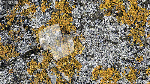 Image of nature stone background