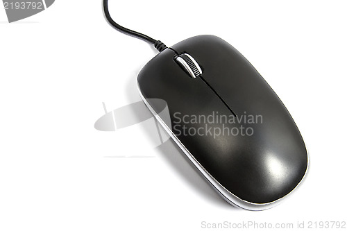 Image of Computer Mouse