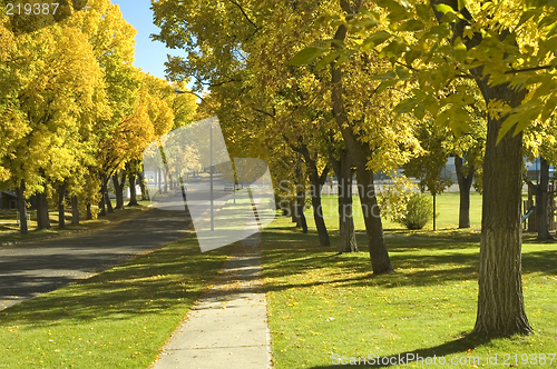 Image of Autumn Trees 2