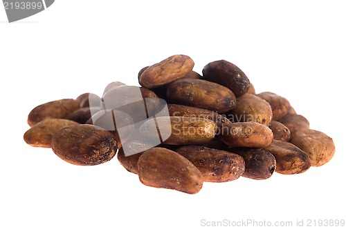 Image of Cacao beans isolated on white background