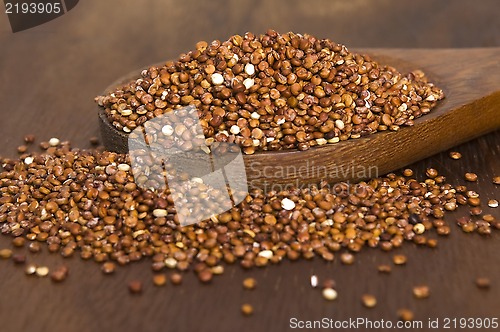 Image of Quinoa grain