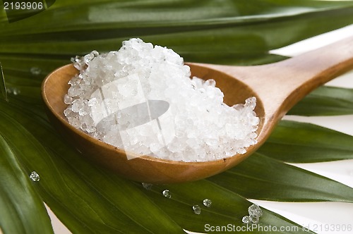 Image of bath salt and palm leaf 